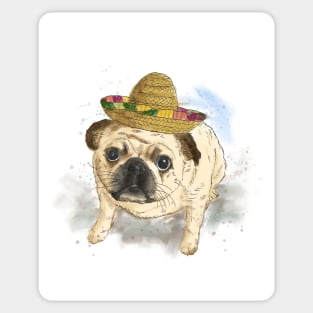 Pet portrait of Pug dog wearing Mexican hat. Watercolor painting Sticker